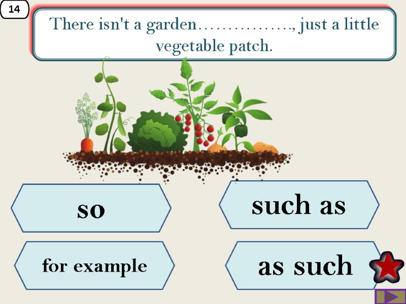 14 There isn't a garden……………., just a little vegetable patch. so  for example